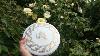 Antique Victorian French Porcelain Limoges China Ladies Powder Puff Cosmetic Box