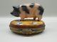 Authentic Limoges Box France Peint Main Rochard Spotted Pig
