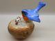 Authentic Limoges Box Peint Main Pv- France Mama Bluebird And Babies In Nest
