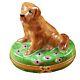 Golden Retriever On Flowers New Limoges Porcelain Box Imported From France