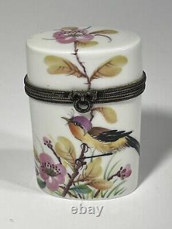 Limoges Case Porcelain Vtg Hand Painted Le Chambrelain Box Trinket Birds Signed