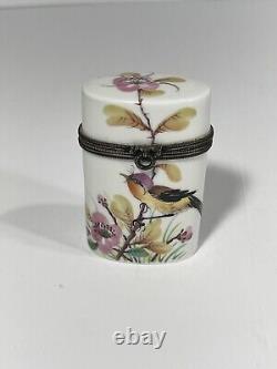 Limoges Case Porcelain Vtg Hand Painted Le Chambrelain Box Trinket Birds Signed