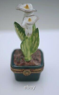 Limoges France Eximious Calla Lilies In A Pot Pill Box Very Rare