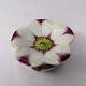 Limoges Parry Vieille White And Purple Flower Trinket Box