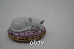 Limoges Peint Main Cat Kitten Porcelain Trinket Box