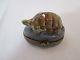Limoges Trinket Box Race Turtle France Signed And Numbered 2 Of 50