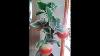 My Home Decoration Artificial Apple Tree With Apples