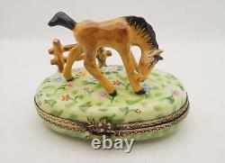 New French Limoges Trinket Box Amazing Horse Animal in Spring on Flowers