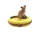 New French Limoges Trinket Box Cute Siamese Kitty Cat On Yellow Floral Box