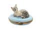 New French Limoges Trinket Box Tiger Striped Tabby Kitty Cat On Blue Floral Box