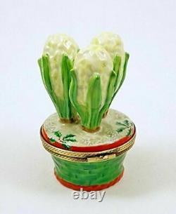 New French Limoges Trinket Box White Hyacinth Flower in Pot with Christmas Holly