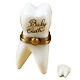 Rochard Limoges Box Baby Tooth (retired)