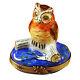 Rochard Limoges Peint Main Hand Painted Trinket Box Wise Owl