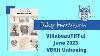 Villabeautifful Unboxing En Plein Air Vbkit June 2023