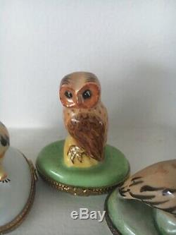 Vintage limoges peint main owl owls trinket box 3 Porcelain boxes RARE France